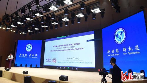 京津冀全球电子商务合作线上对接会成功举办，共绘数字经济新蓝图