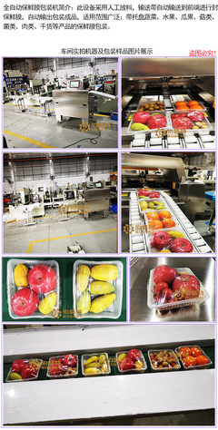 佛山工厂直供 电商时代下的高效包装利器——全自动保鲜膜包装机